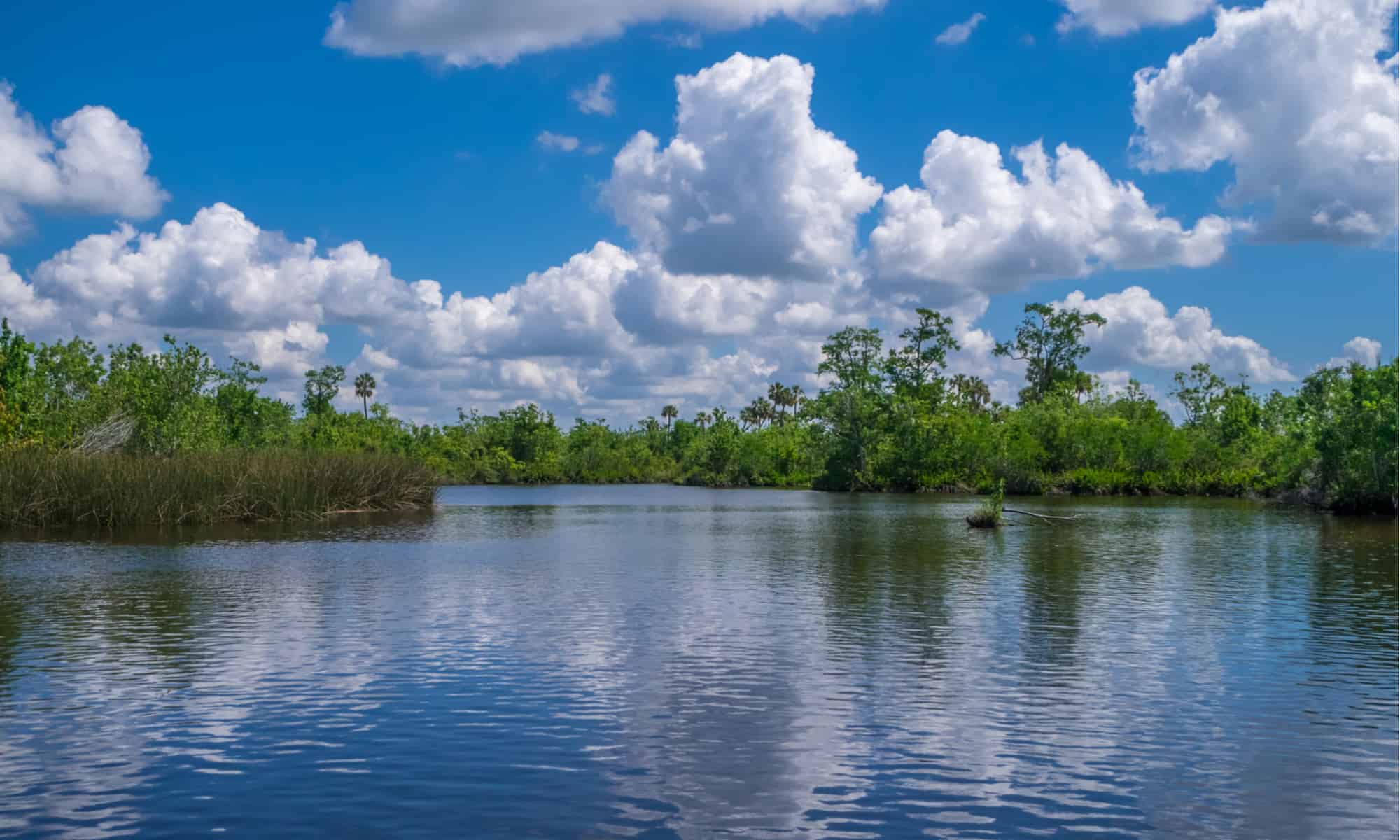 Discover The 15 Largest Rivers In Florida Tunlog 4816