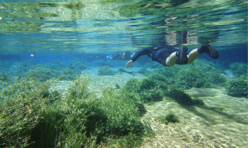 Clearest Rivers - Rio da Prata Brazil