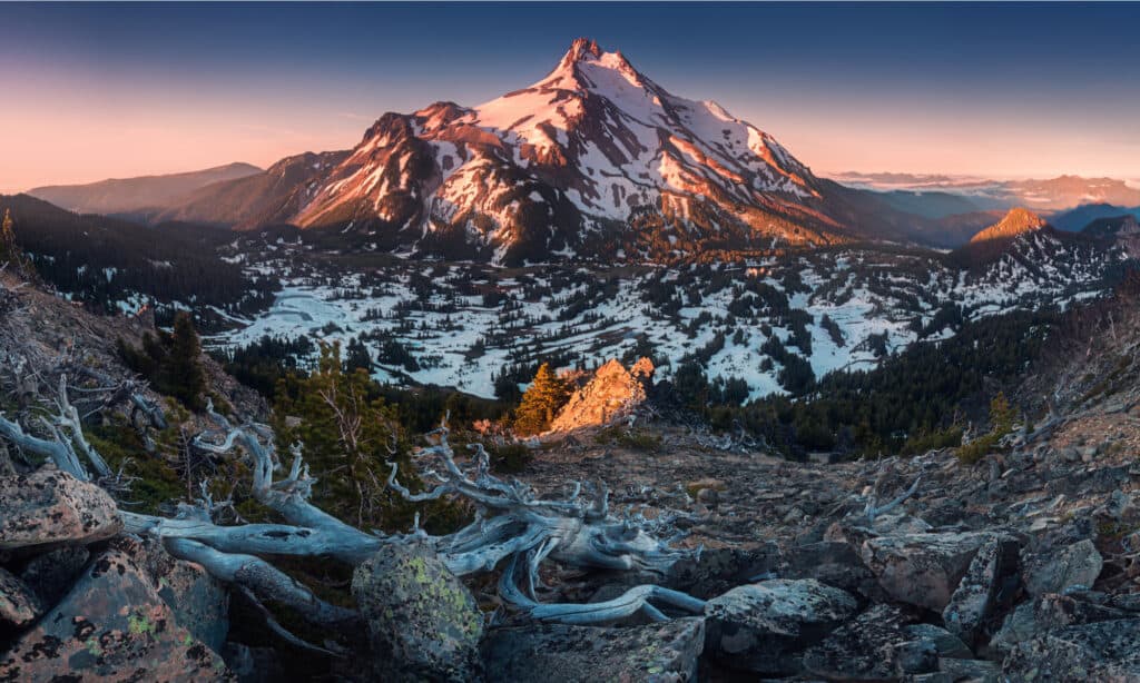 The snow covered central Oregon Cascade volcano Mount Jefferson rises above a pine forest