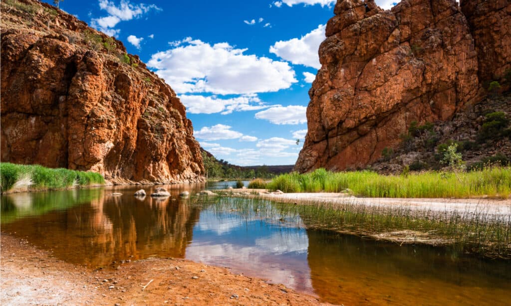 Oldest Rivers - Finke River