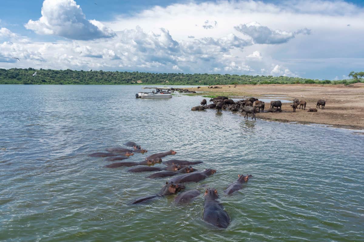 The 15 Largest Lakes In Africa A Z Animals   Shutterstock 1291500517 