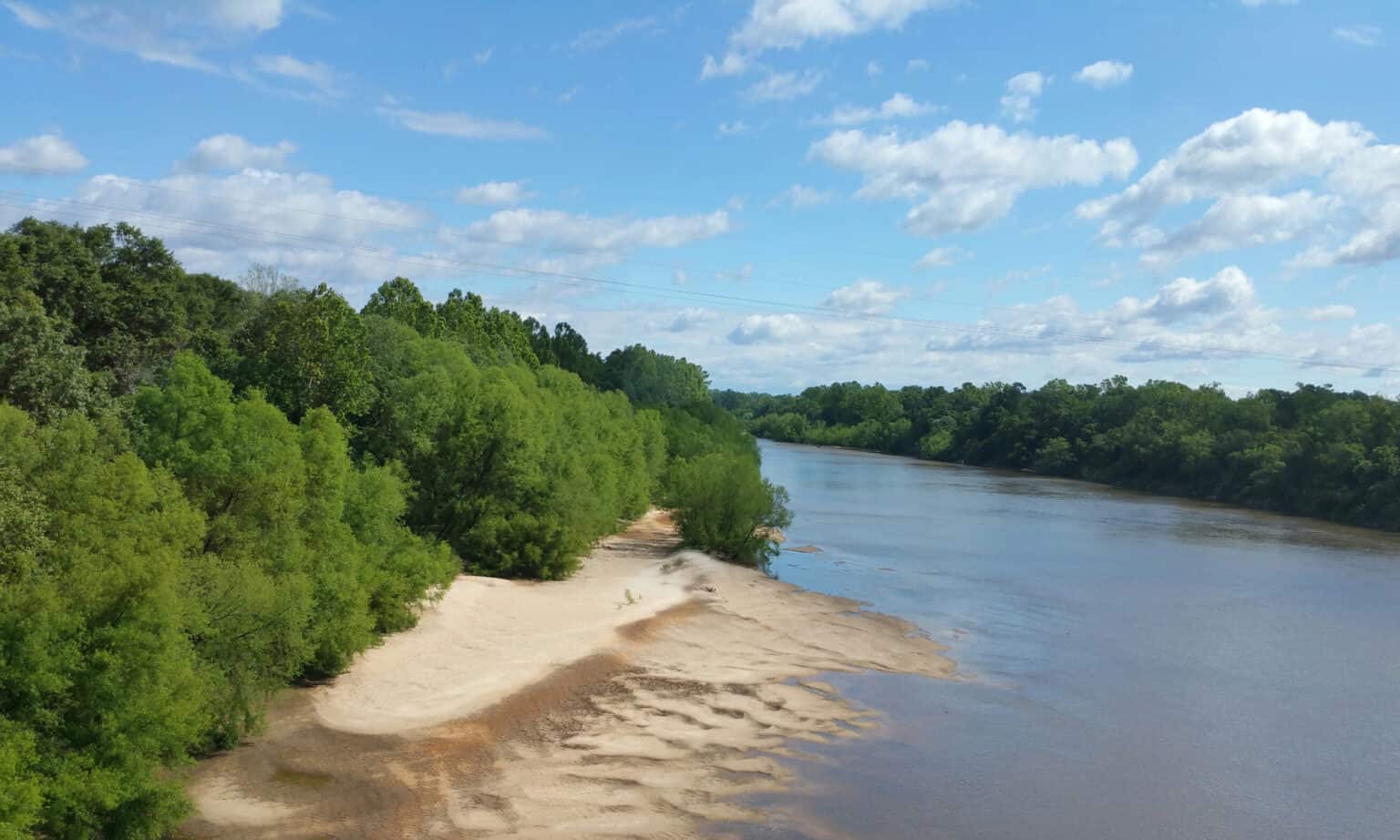 What's in the Apalachicola River and Is It Safe to Swim In? - A-Z Animals