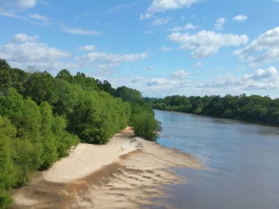 A What’s in the Apalachicola River and Is It Safe to Swim In? 