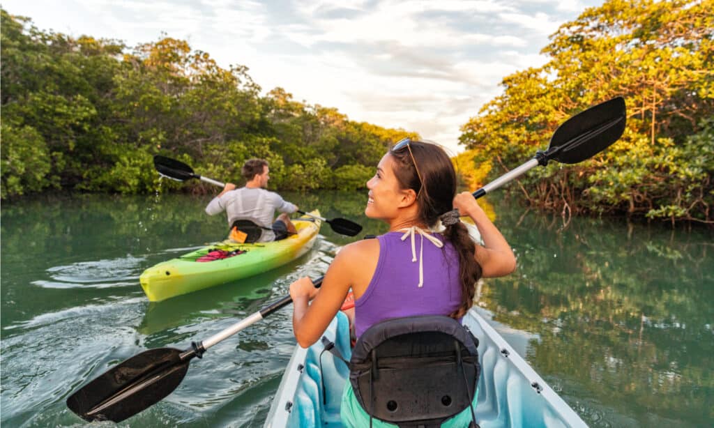 Everglades National Park - Kayaking