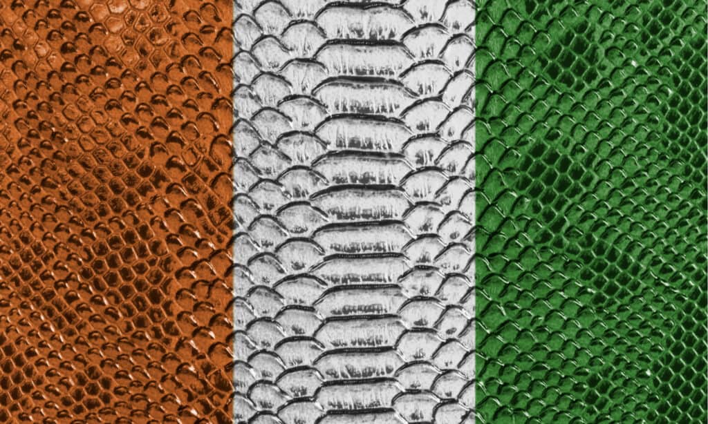 Ireland Flag in Snake Skin