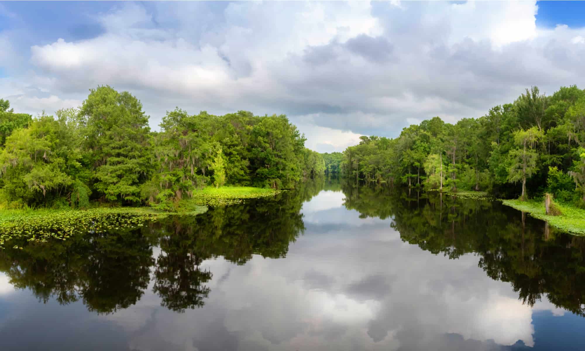 Discover the 15 Largest Rivers in Florida - A-Z Animals