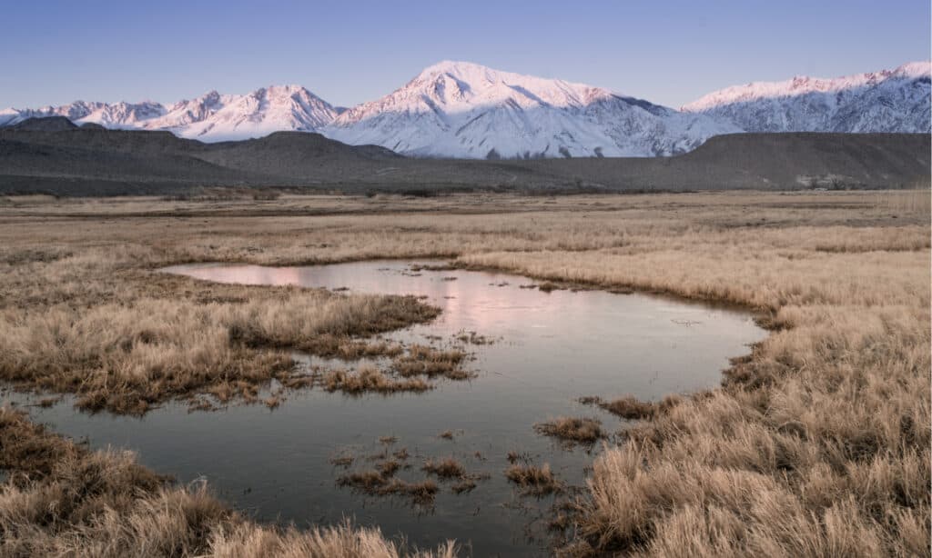 Longest Lakes in California - Owens River 