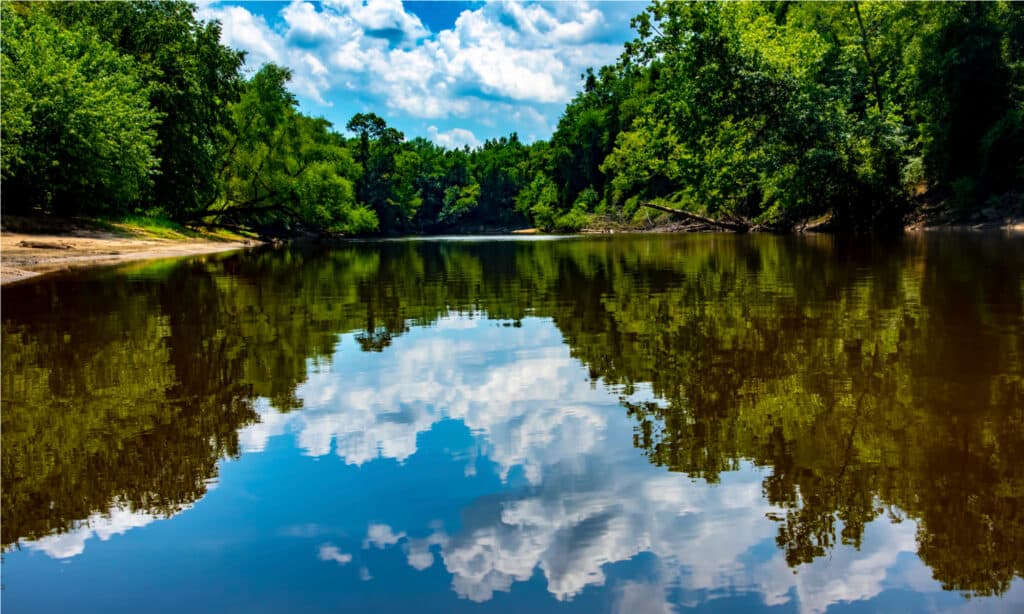Longest Rivers in North Carolina - Tar River 