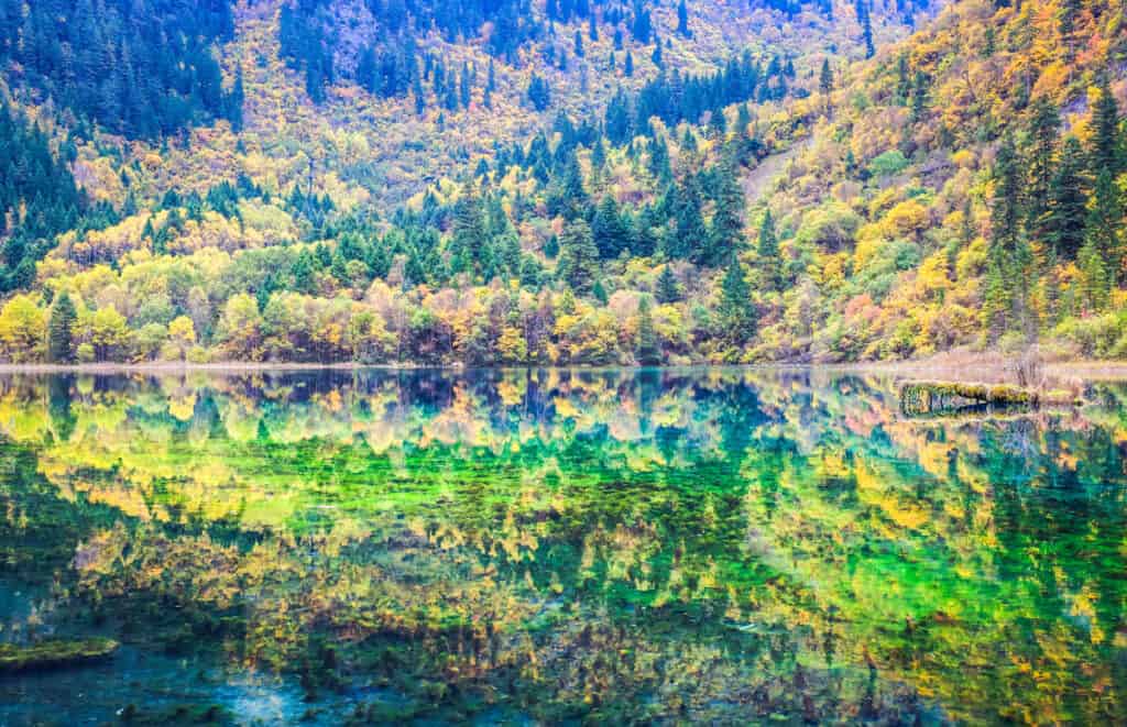 15 Insanely Clear Lakes and Why They're So Clear - A-Z Animals