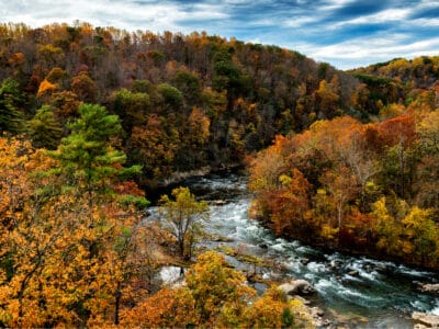 A Discover 12 Incredible Places to See Fall Foliage in North Carolina