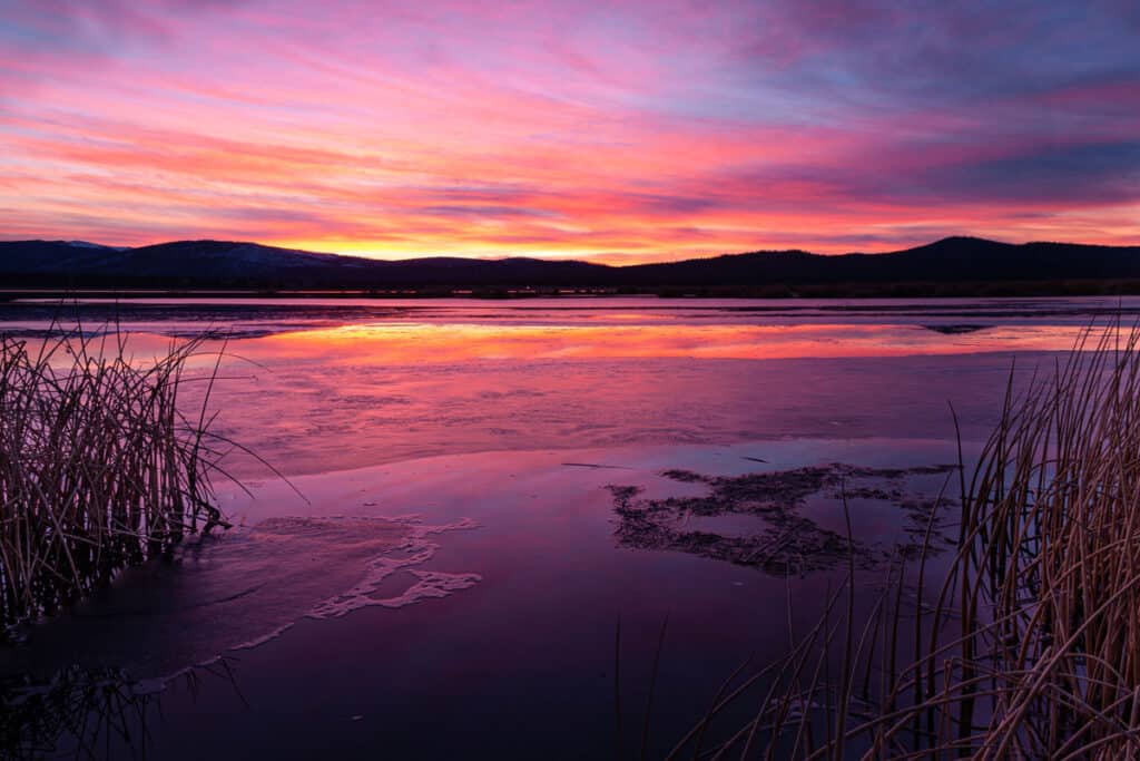 Eagle Lake California