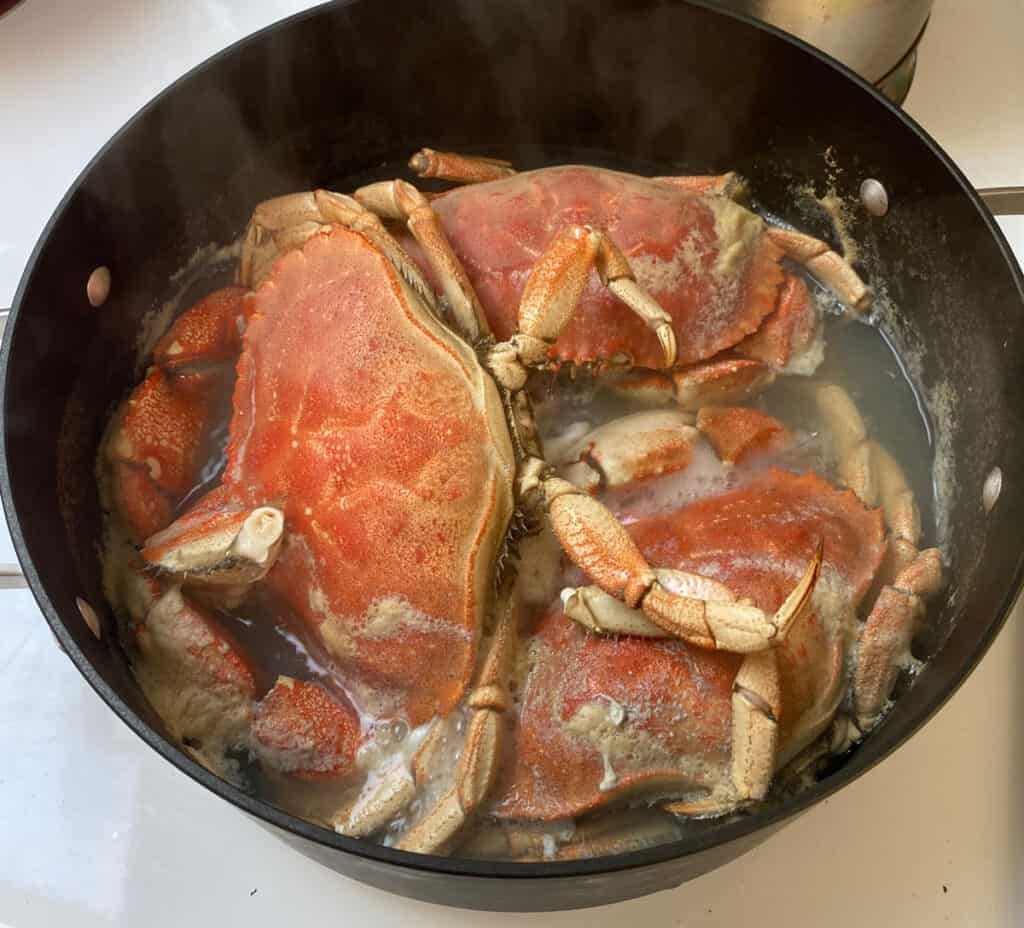 Jonah crab