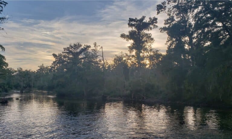 Discover the 15 Largest Rivers in Florida - A-Z Animals