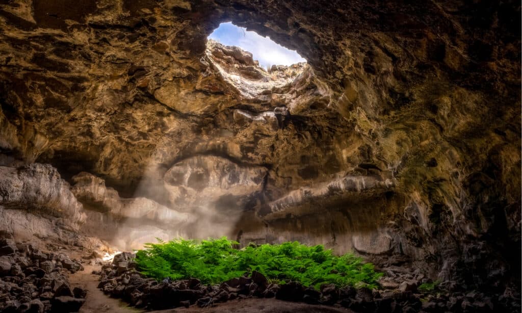 mammoth cave's bottomless pit