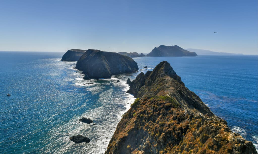 Channel Islands National Park - Anacapa island