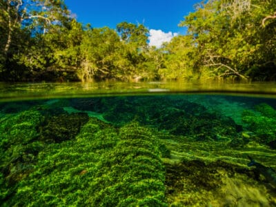 A Discover 6 of the Clearest Rivers in the World