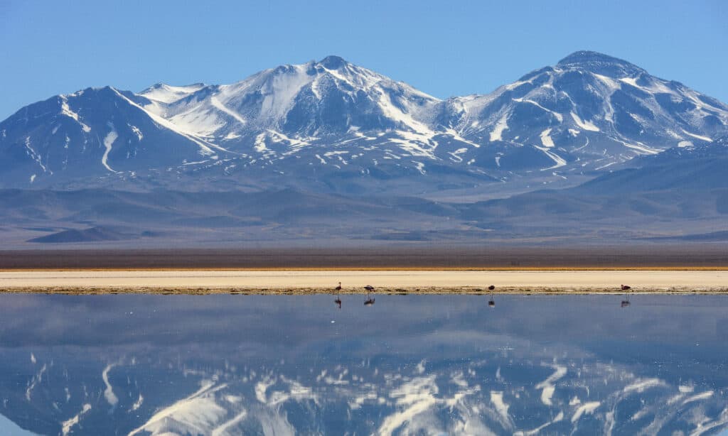 The largest mountain range on earth is the Andes mountain range.