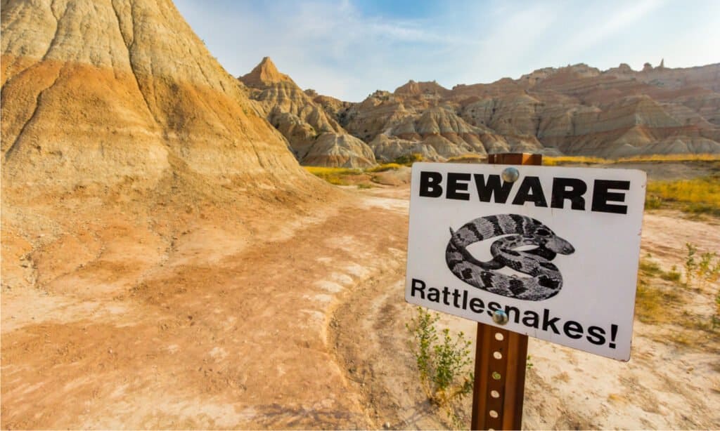Rattlesnakes While Hiking - Rattlesnake Sign 