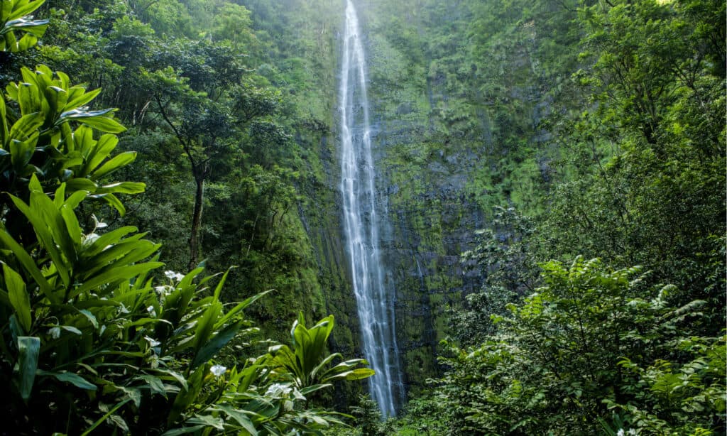 Haleakala National park in Maui