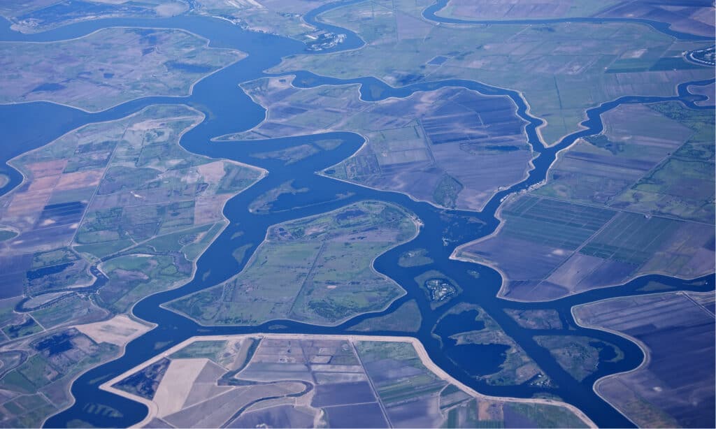 แม่น้ำที่ยาวที่สุดในแคลิฟอร์เนีย - สามเหลี่ยมปากแม่น้ำ Joaquin