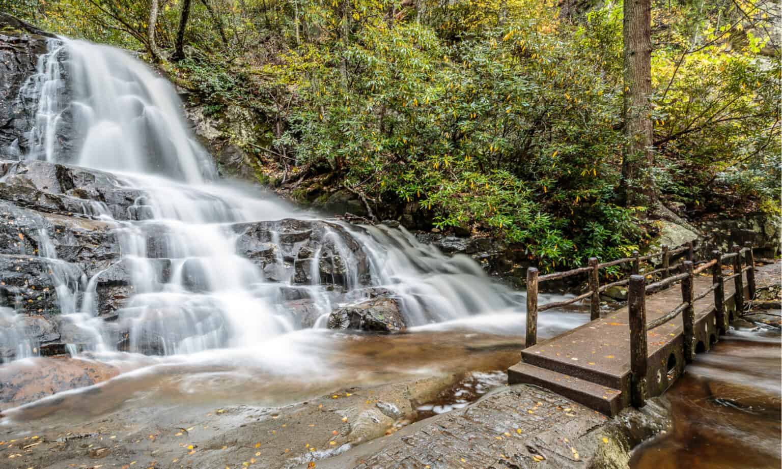 Discover When Leaves Change Color in Tennessee (and 6 Beautiful Places ...