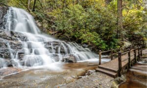 5 Incredible Fall Foliage Drives Near Great Smoky Mountains National Park Picture