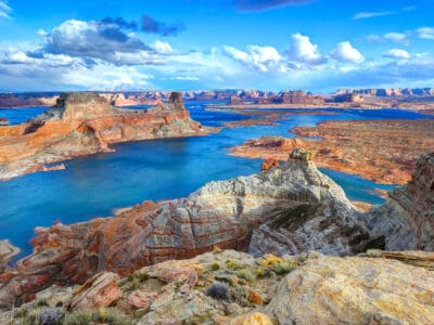 A Discover 5 Amazing Fish Living in Lake Powell