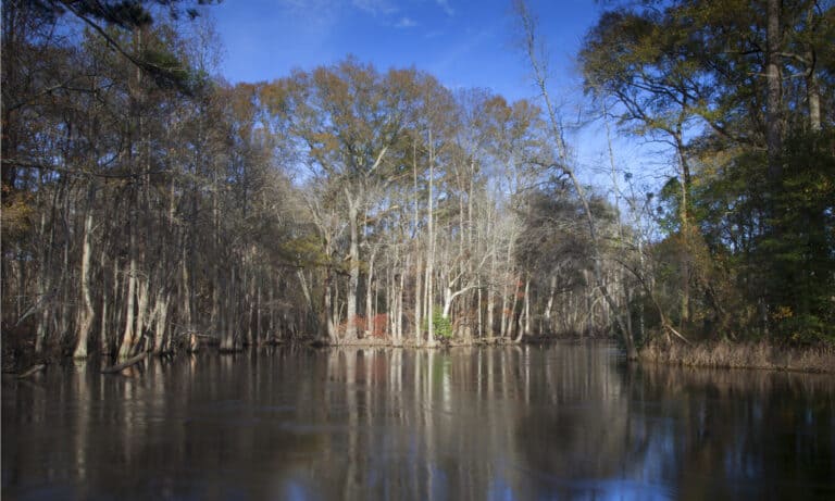 The 15 Longest Rivers In North Carolina - A-Z Animals