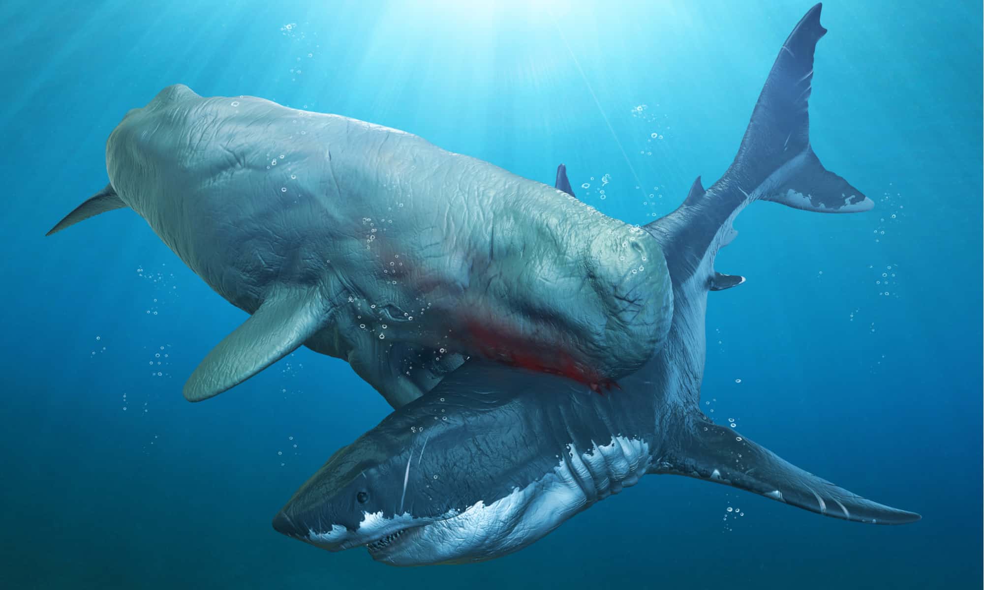 megalodon vs giant mosasaur