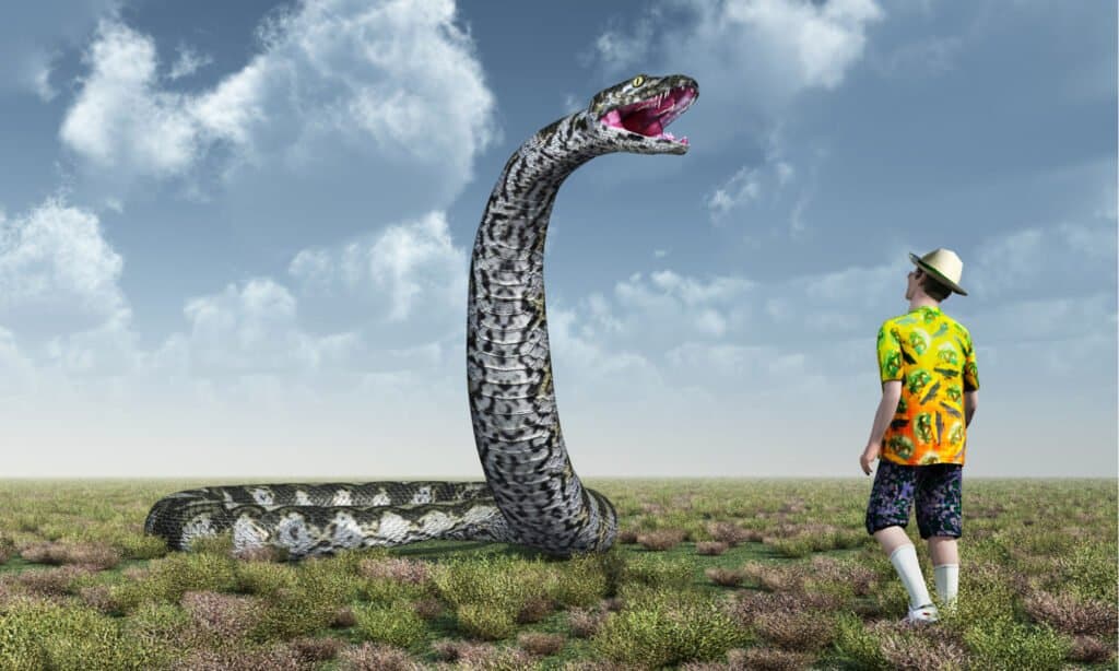 anaconda vs human