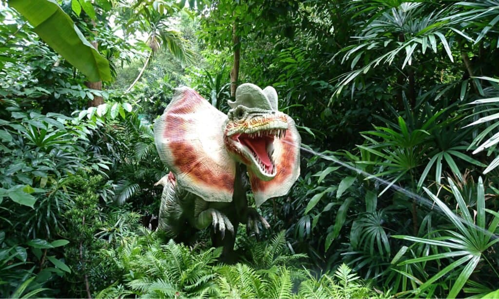 Jurassic Park Dinosaur - Dilophosaurus