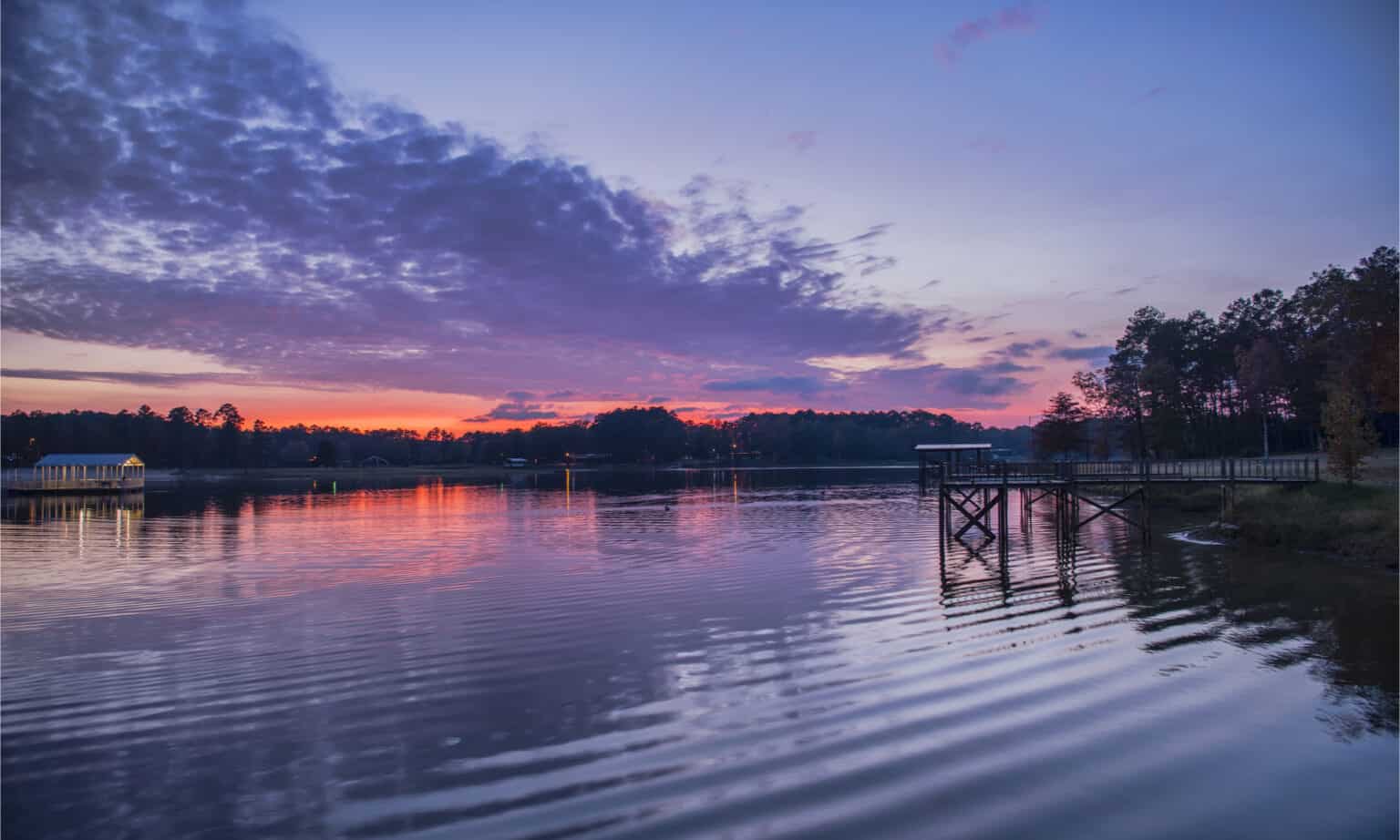 The Most Snake-Infested Lakes in Texas - A-Z Animals