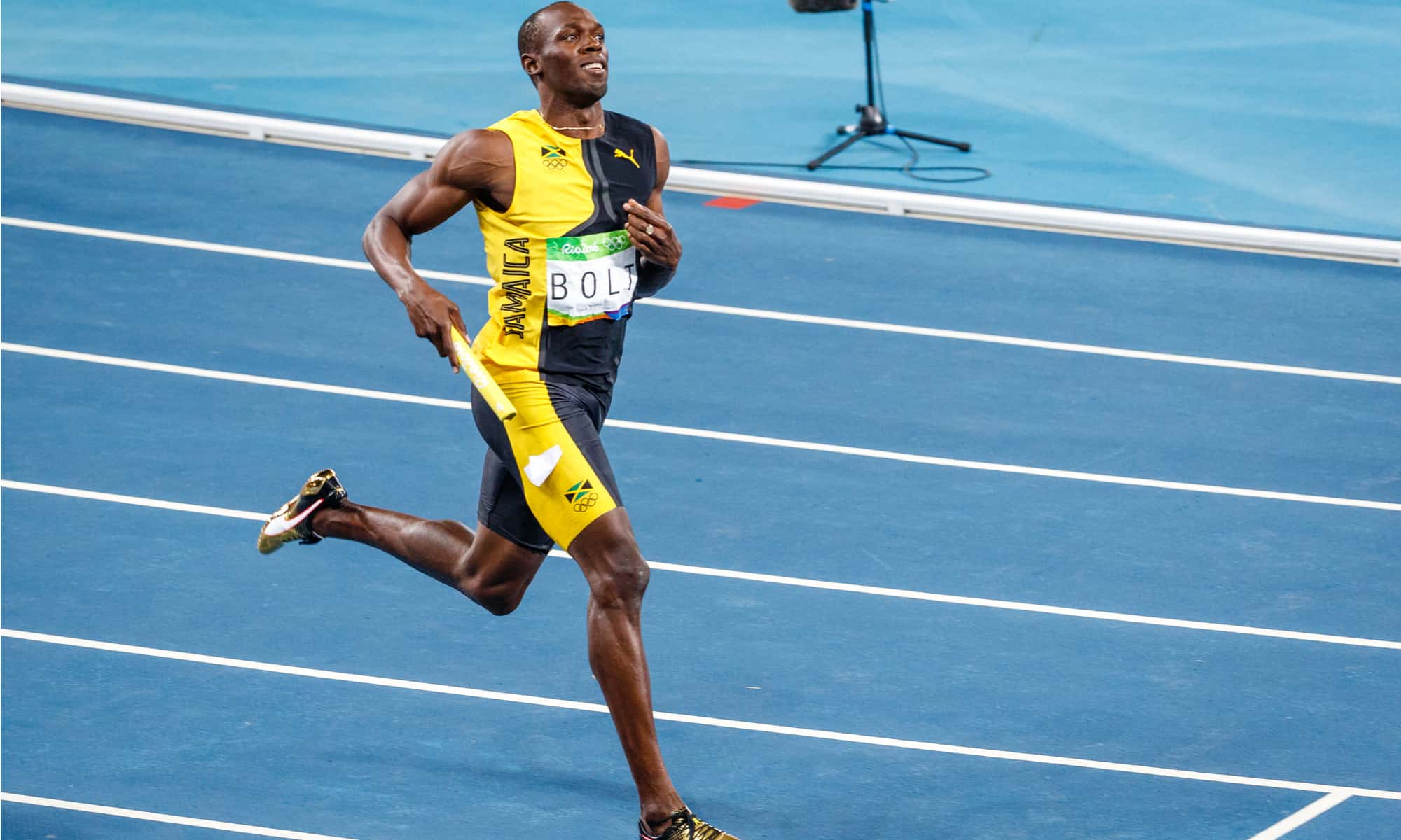 usain-bolt-vs-cheetah-who-would-win-a-z-animals