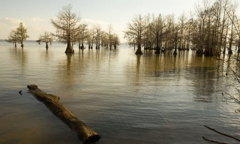 Lake Marion South Carolina.