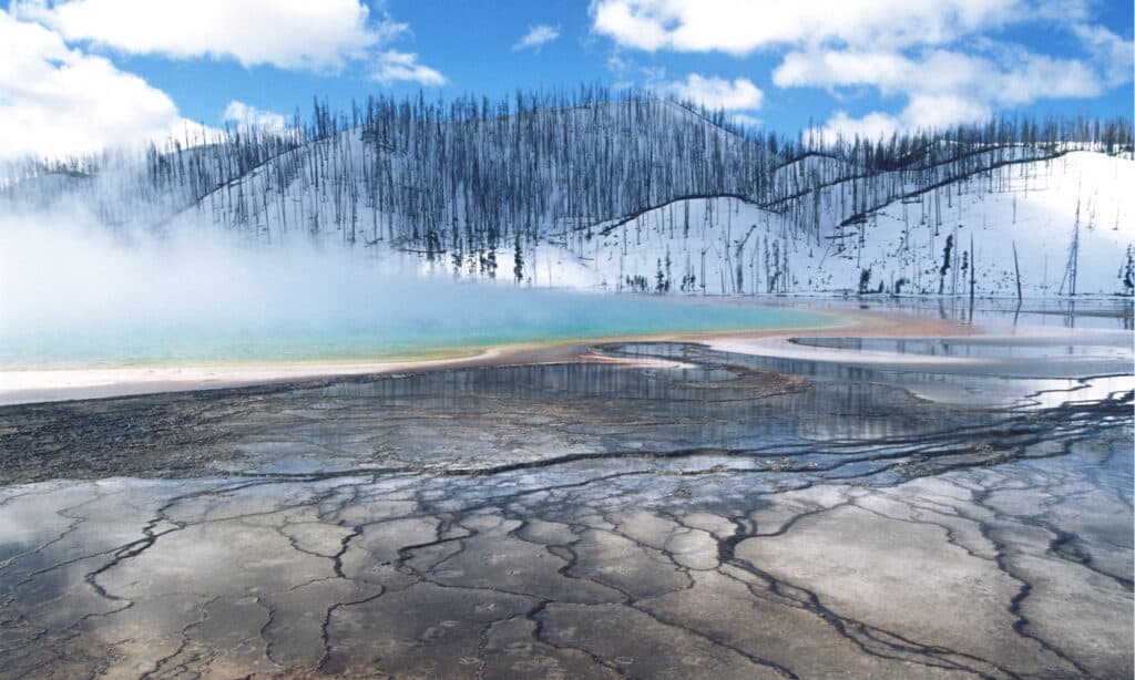 Yellowstone Weather in April