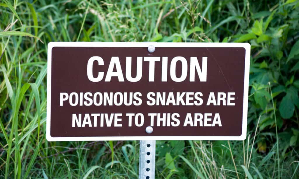 Can Rattlesnakes Swim - Venomous Snake Caution Sign