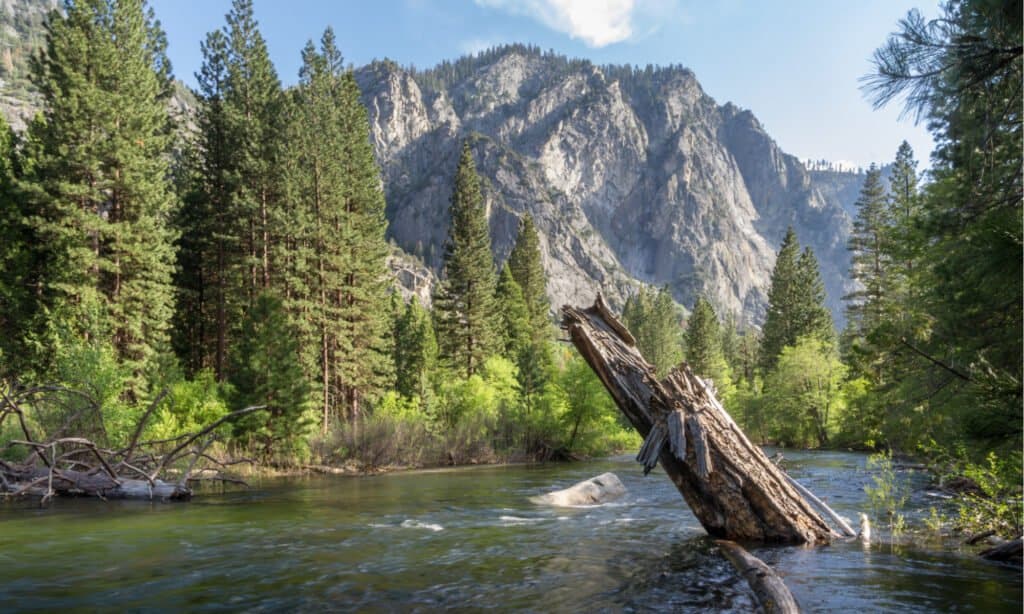 Best National Parks to Visit in July - King's Canyon National Park