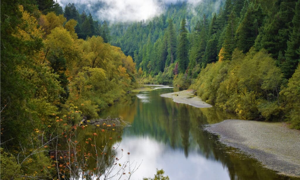 Longest Rivers in California - Eel River 