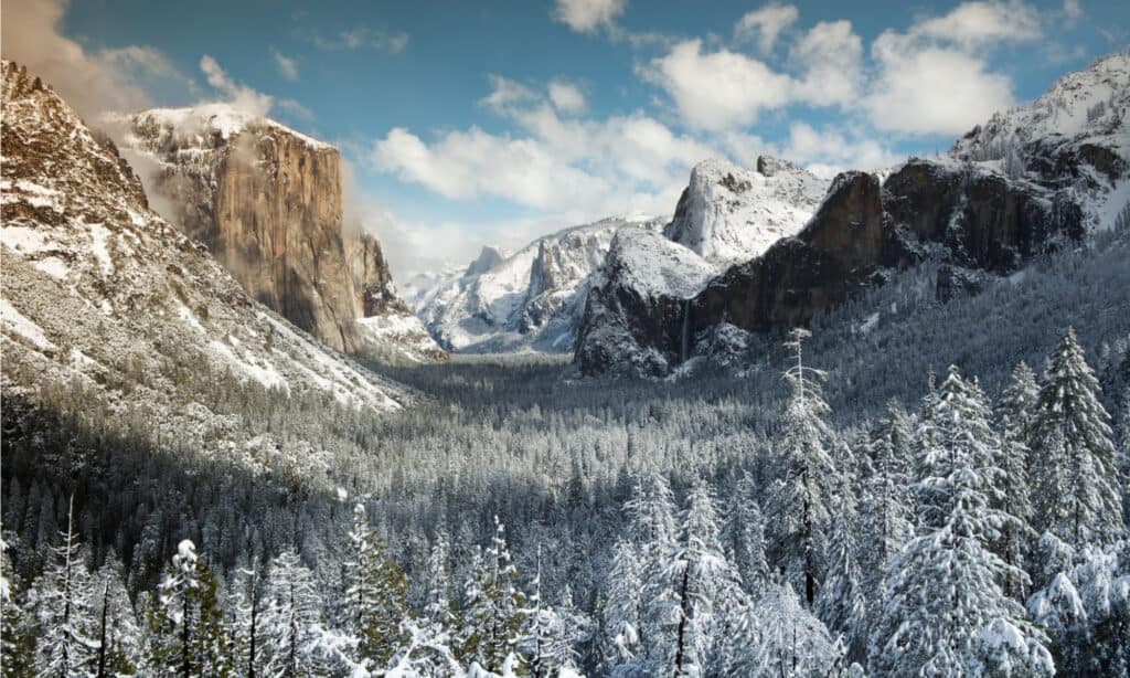 Vườn quốc gia Yosemite Mùa đông