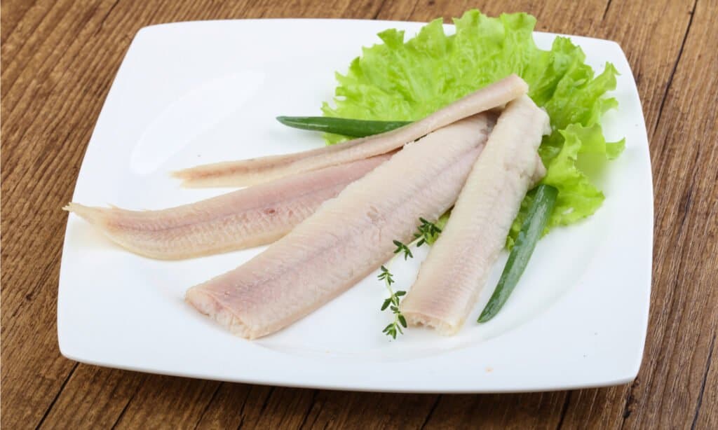 smoked eel on a plate