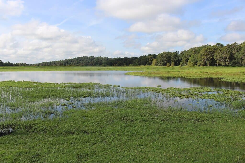 Alligator Lake, Columbia County, Florida