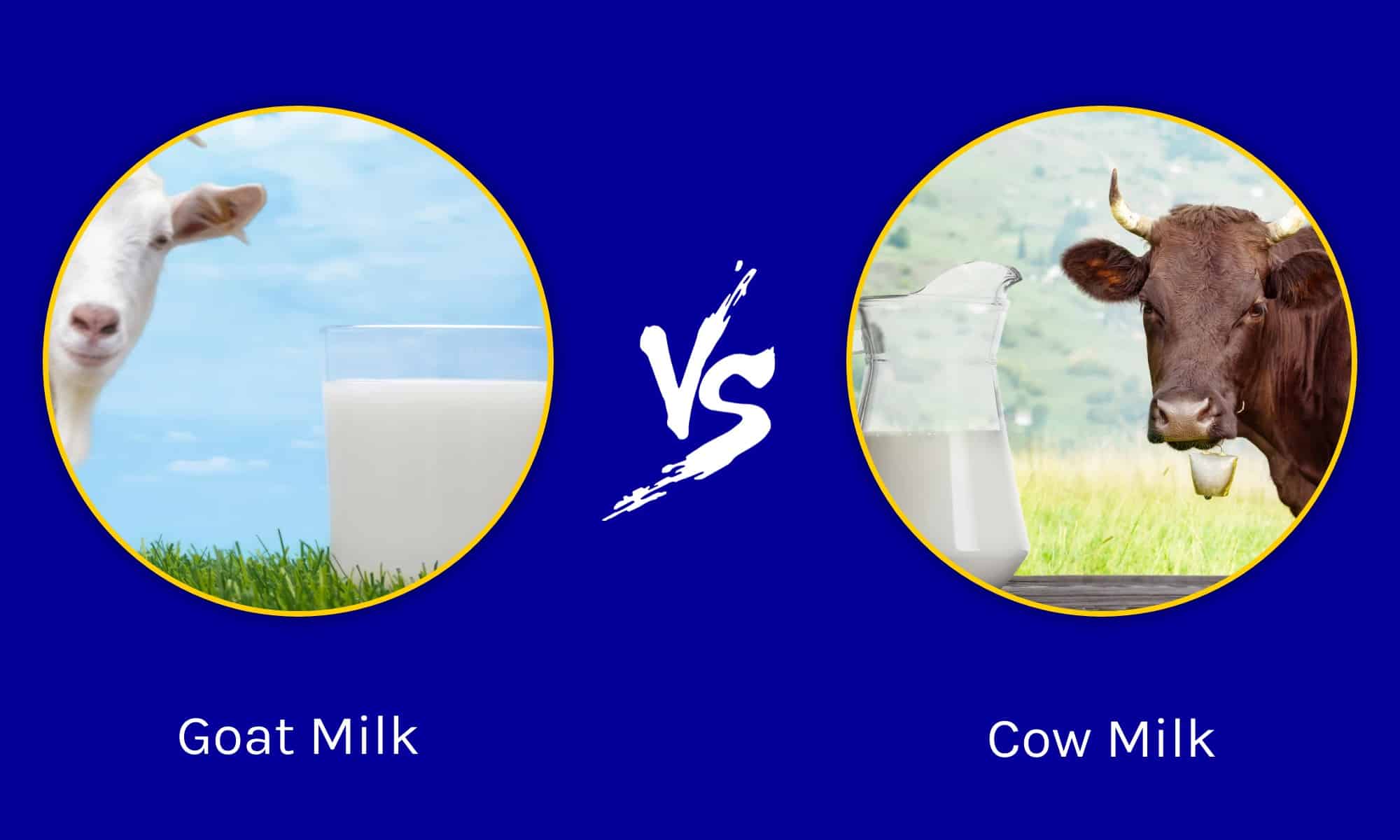 Goat vs Cow Milk Which Is Better For You? AZ Animals