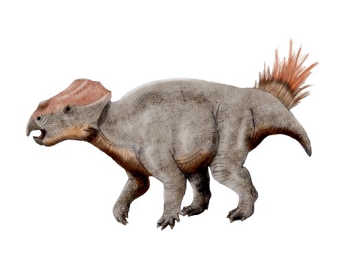 Dinosaur With Horn On Back Of Head