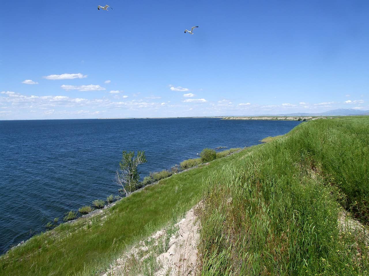 what-s-the-largest-man-made-lake-in-idaho