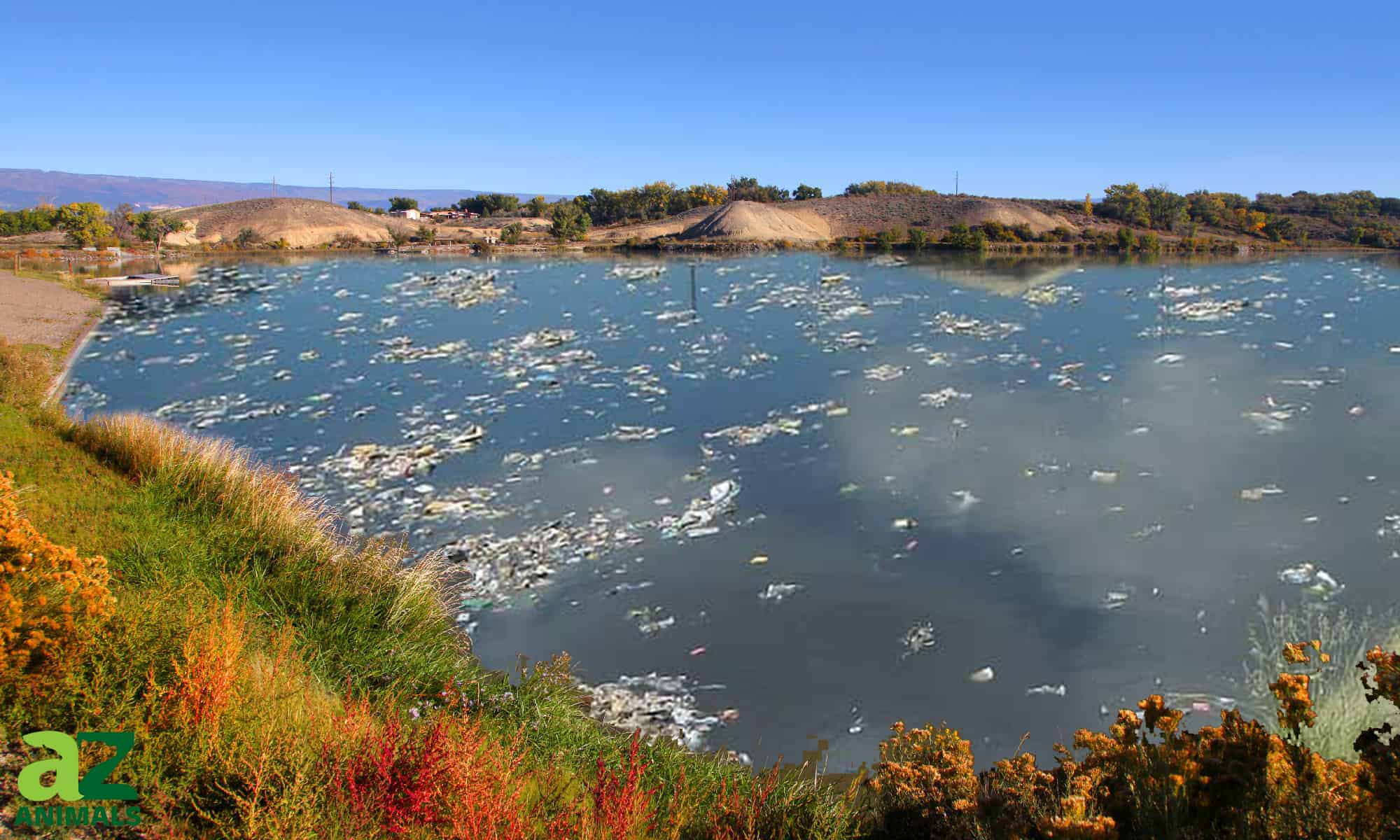 The 10 Most Polluted Lakes in the United States AZ Animals