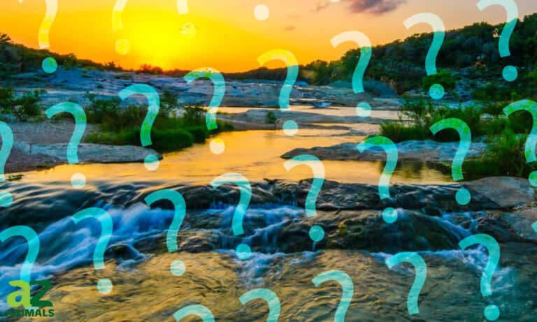 Where does the Mississippi River start