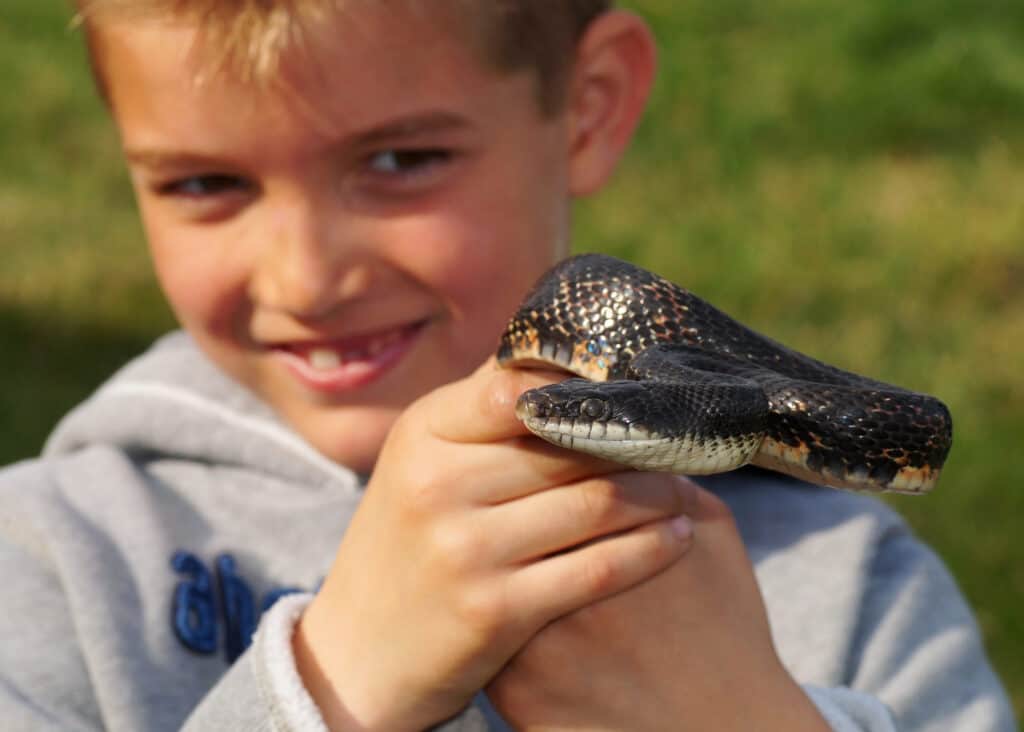 Boy holding a pet snake.