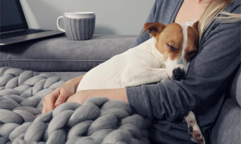 Dog, Embracing, Winter, Pets, People
