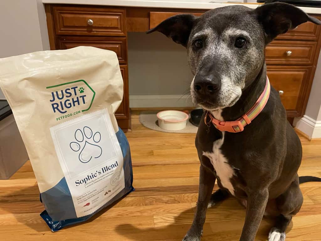 Just Right Pet Food Review Our Hands On Experience A Z Animals