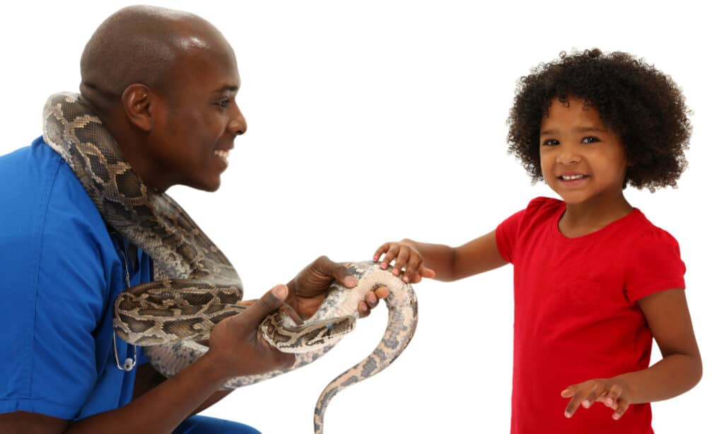 Pet snakes cost to buy